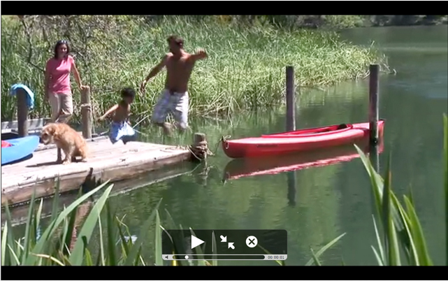 Screenshot of a QuickLook full screen movie preview.